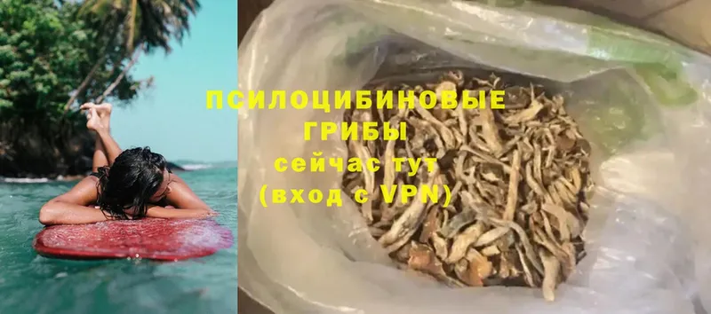 Галлюциногенные грибы Psilocybine cubensis  ссылка на мегу ссылка  Дмитровск  как найти закладки 